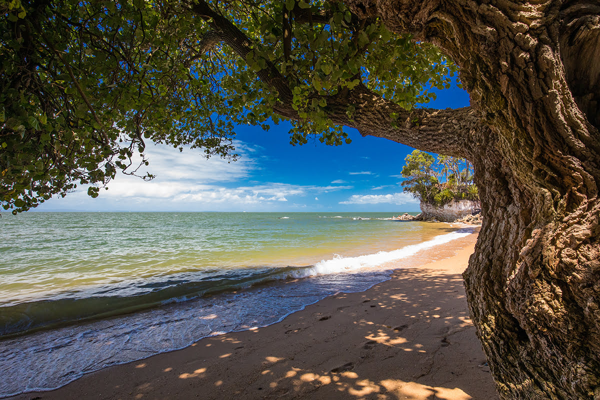 ชายหาดในบริสเบน-หาด Suttons Beach