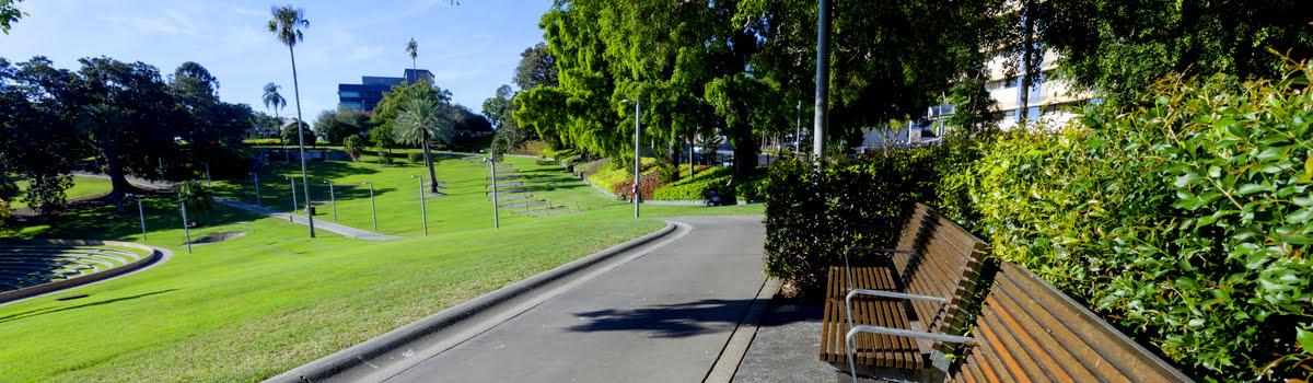 Brisbane city park-Featured photo-Things to do in Brisbane