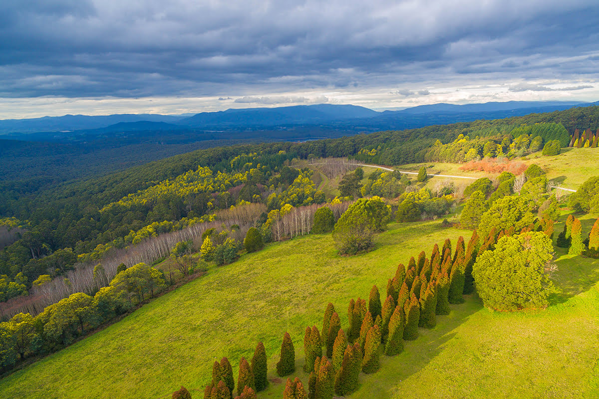 Day trips from Melbourne-Australia-Dandedong Ranges