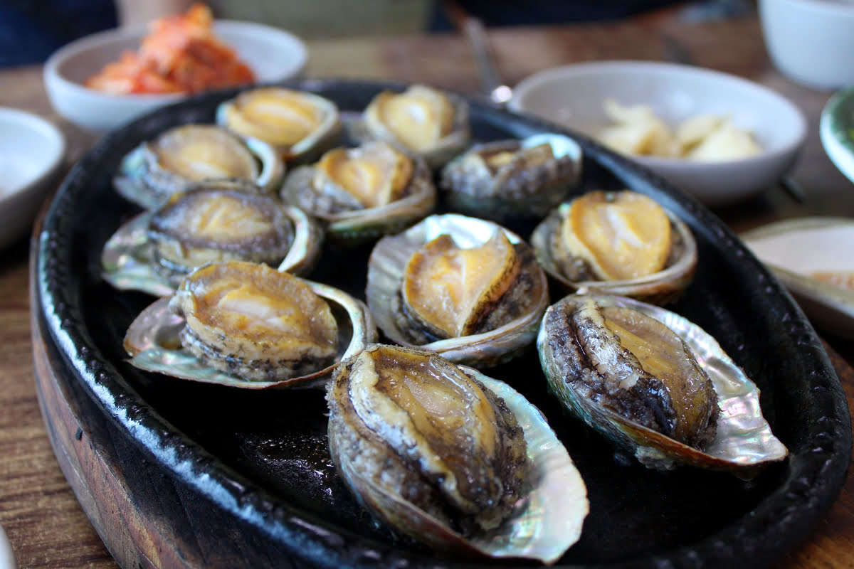 Die Abalone von Jeju