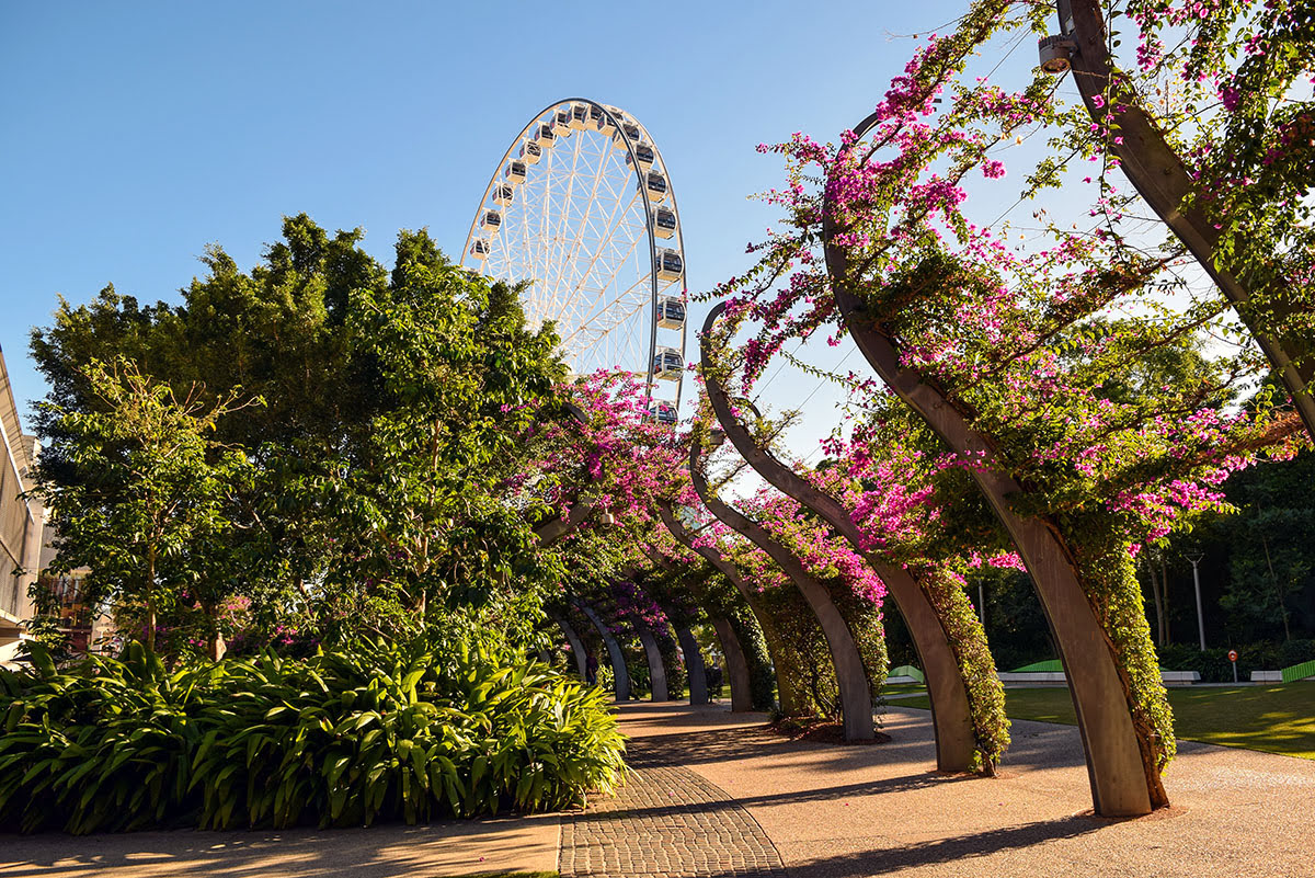 Neighborhoods in Brisbane-Queensland-hotels-South Bank-beach-Ferris wheel