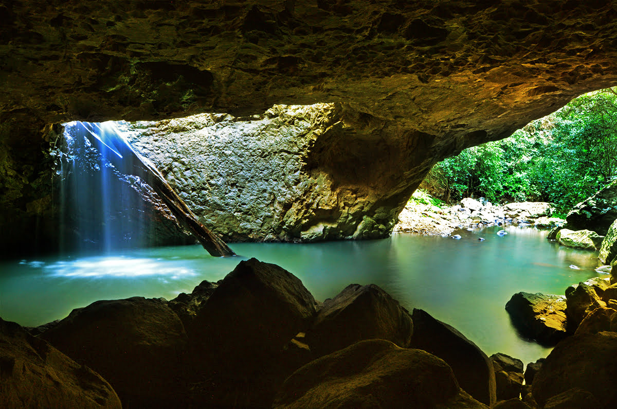 Day trips from Brisbane-Springbrook National Park