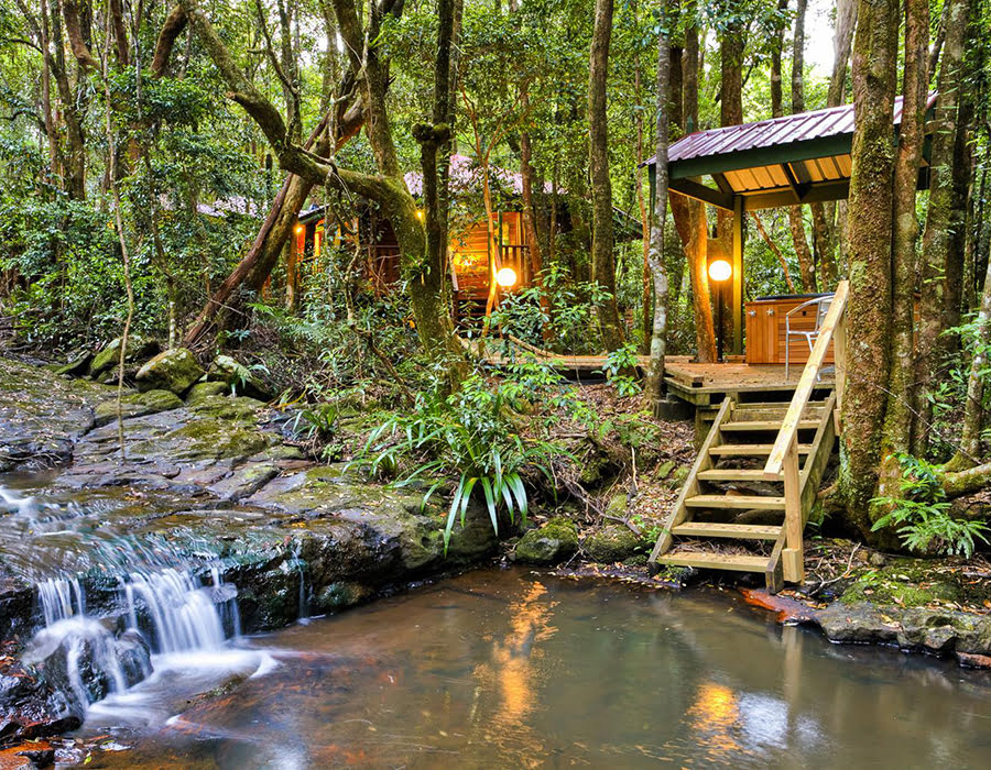 Day trips from Brisbane-The Mouses House Rainforest Retreat
