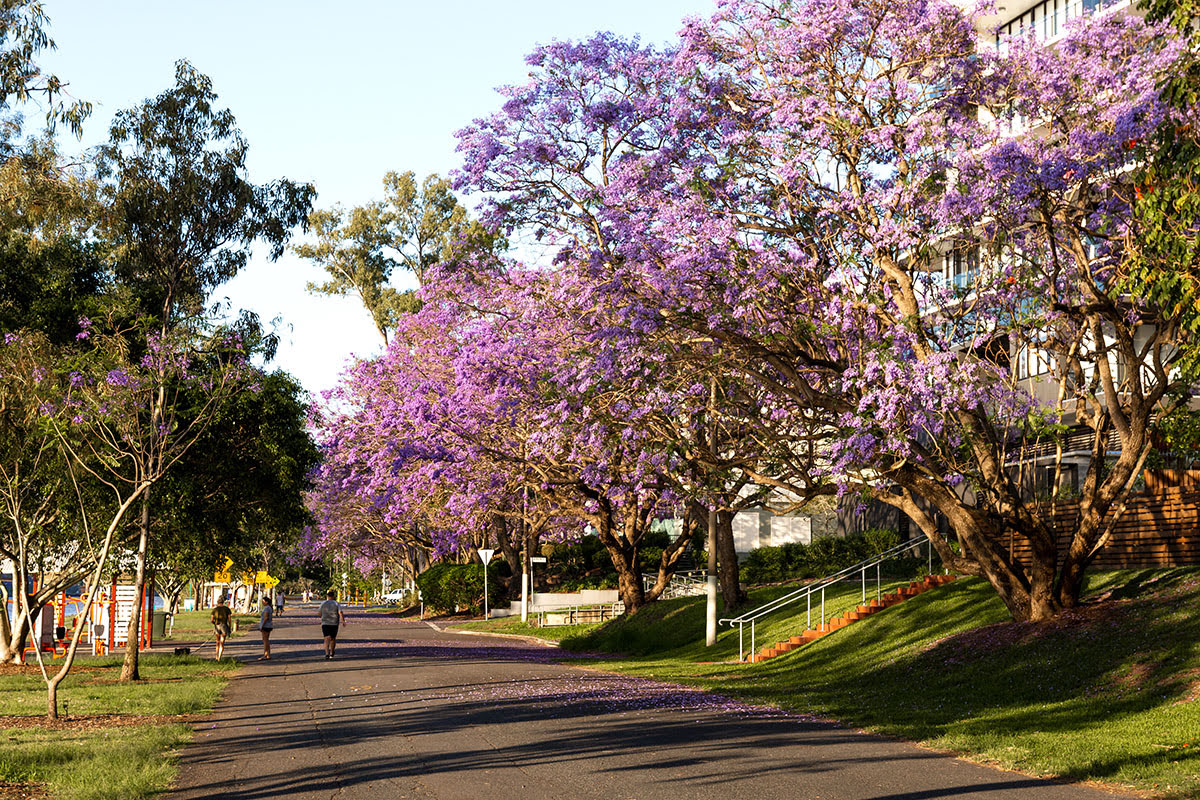 Neighborhoods in Brisbane-Queensland-hotels-West End-riverfront