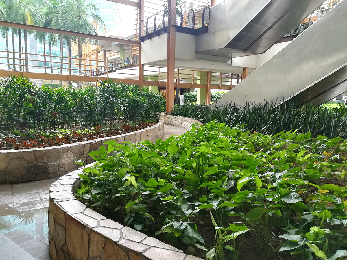 Ayala Center Cebu, Cebu