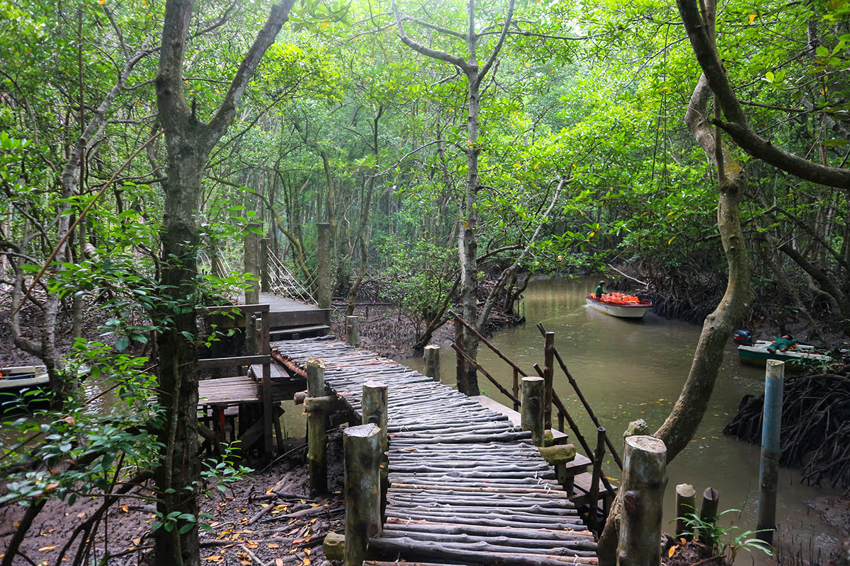 ทริปเที่ยวหนึ่งวันใกล้โฮจิมินห์ซิตี้-เที่ยวเวียดนาม-Can Gio biosphere-Monkey Island