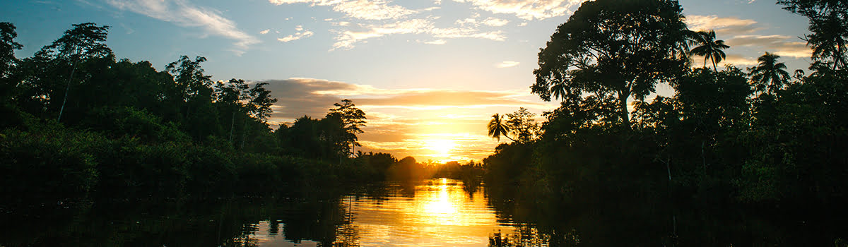 What to Do in Kota Kinabalu | Trekking, River Cruises & Cultural Activities