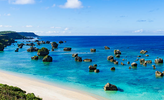 Things to Do in Okinawa | Where to Go Whale Watching &#038; Book Island Tours