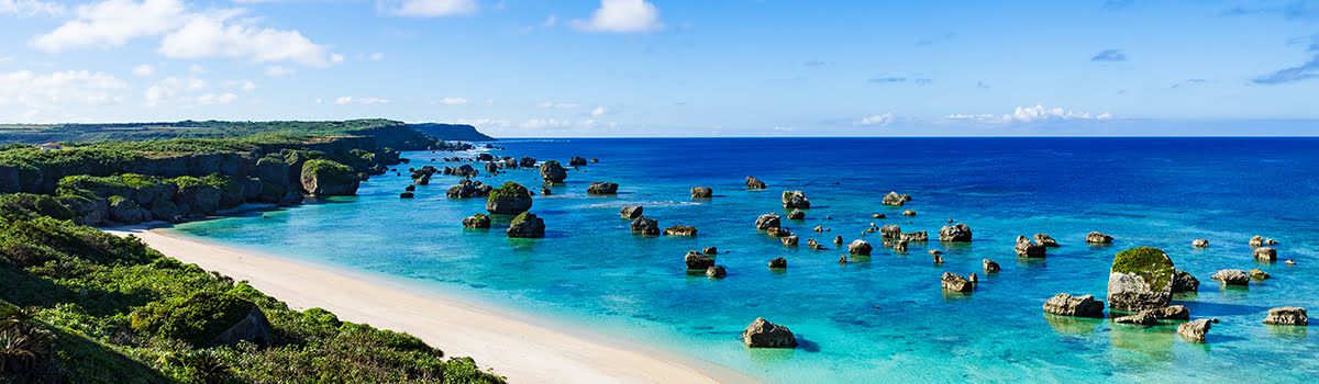 Things to Do in Okinawa | Where to Go Whale Watching &#038; Book Island Tours