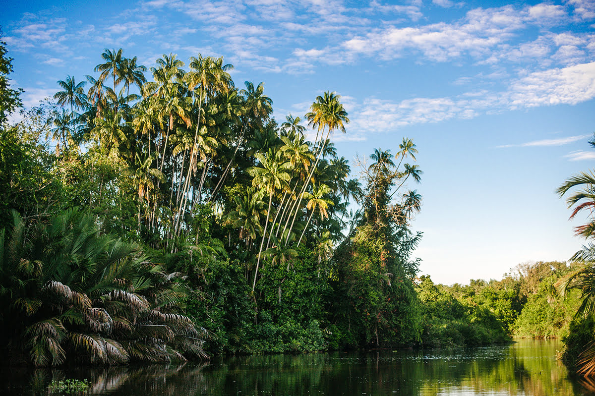 What to do in Kota Kinabalu-things to do-attractions-Klias Wetlands River Cruise