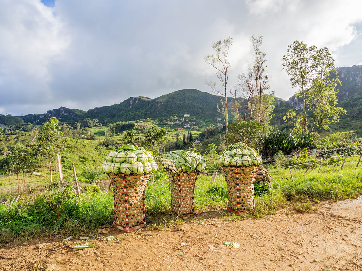 Day trips from Cebu City-excursions-getaways-Osmeña Peak