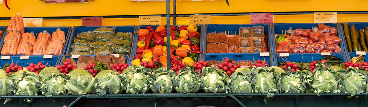Shopping in Auckland | Hottest Streets & Areas with Malls & Markets