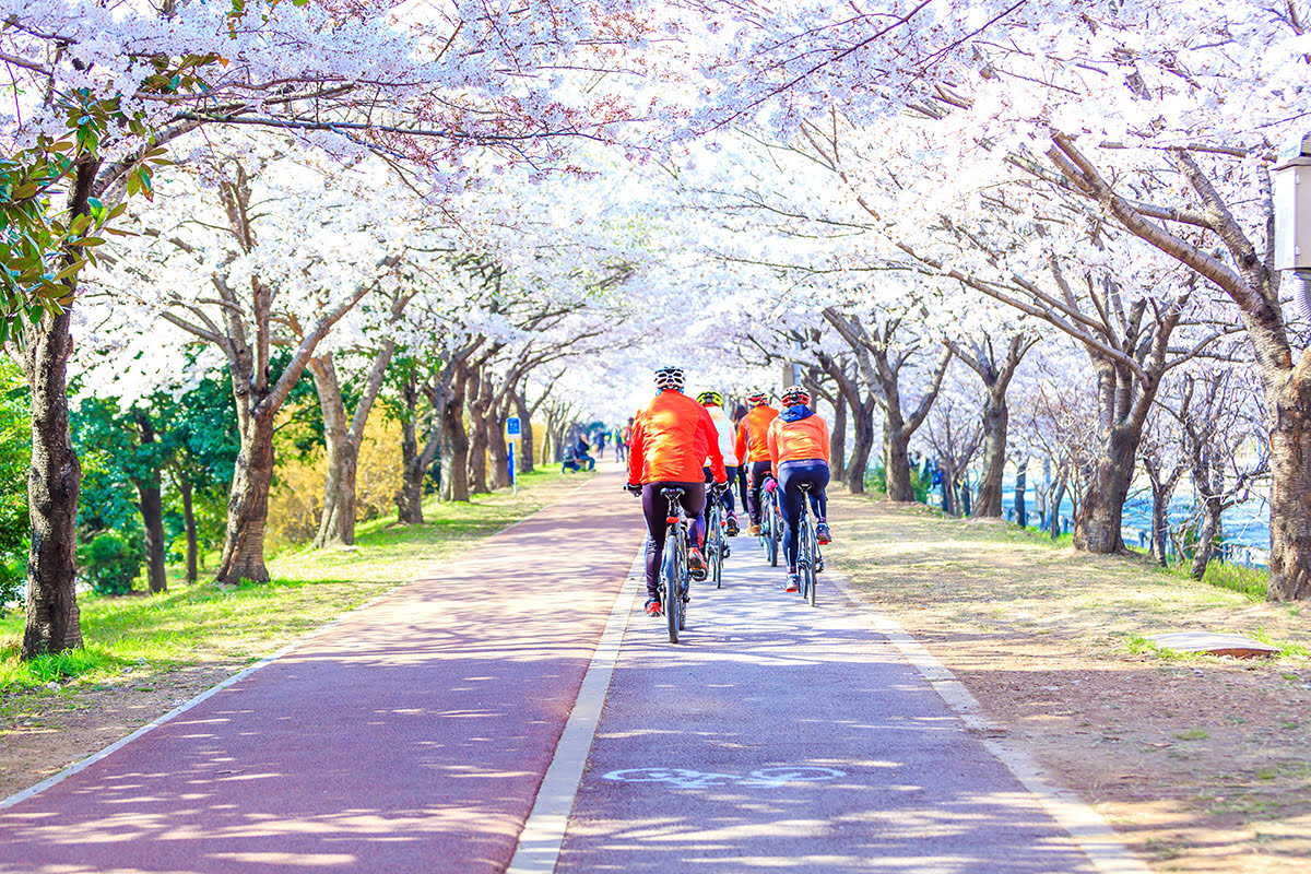 Busan airport-Gimhae International-travel-South Korea-Samnak Ecological Park