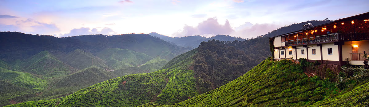 Where to Stay in Cameron Highlands | Cheap Resorts &#038; Jungle Hotels