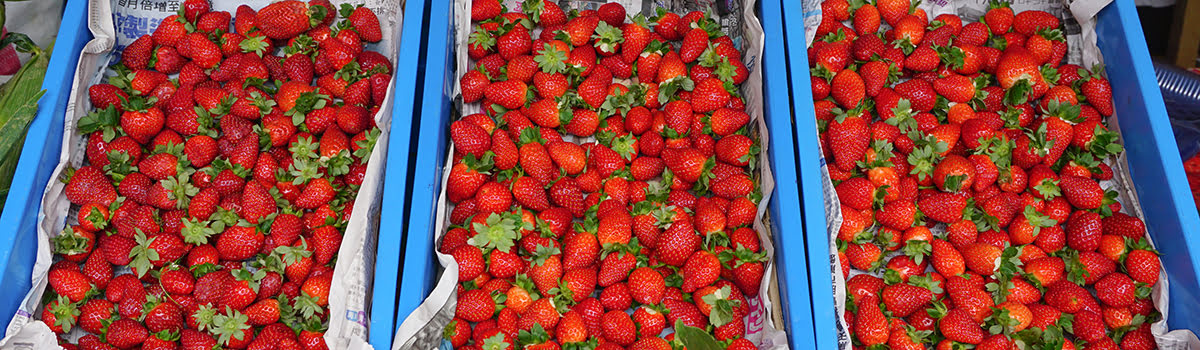 Shopping in Cameron Highlands | Fun Farms, Crafts & Sweet Souvenirs background image