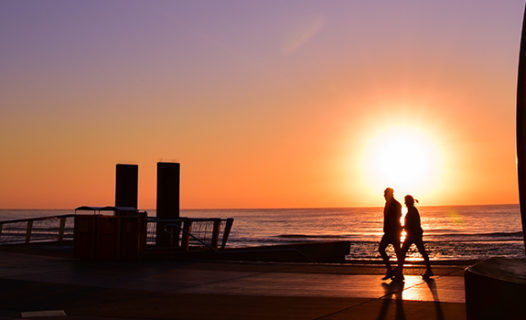 Things to Do in Gold Coast | Surfers Paradise, Plus Top Spots for Wildlife