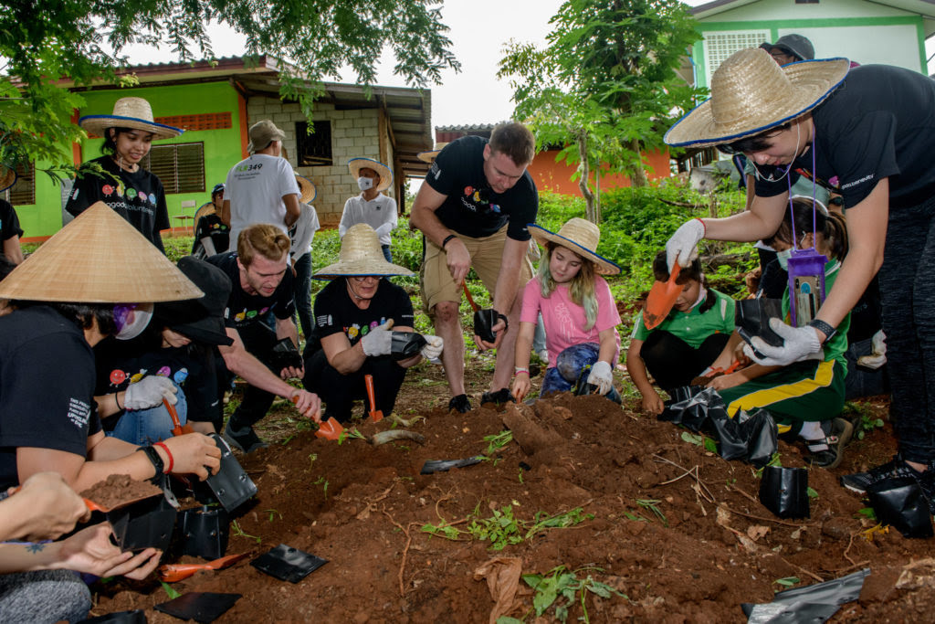 joins forces with to 6000 trees in Chiang Mai » Check in, step out