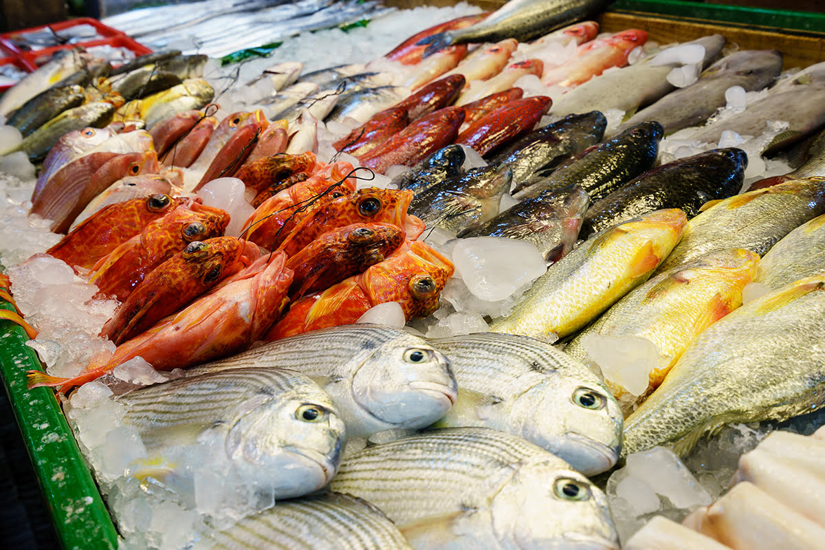 Shopping in Yilan-markets-malls-where to buy souvenirs-Nanning Fish Market-Nanfangao Fish Market)