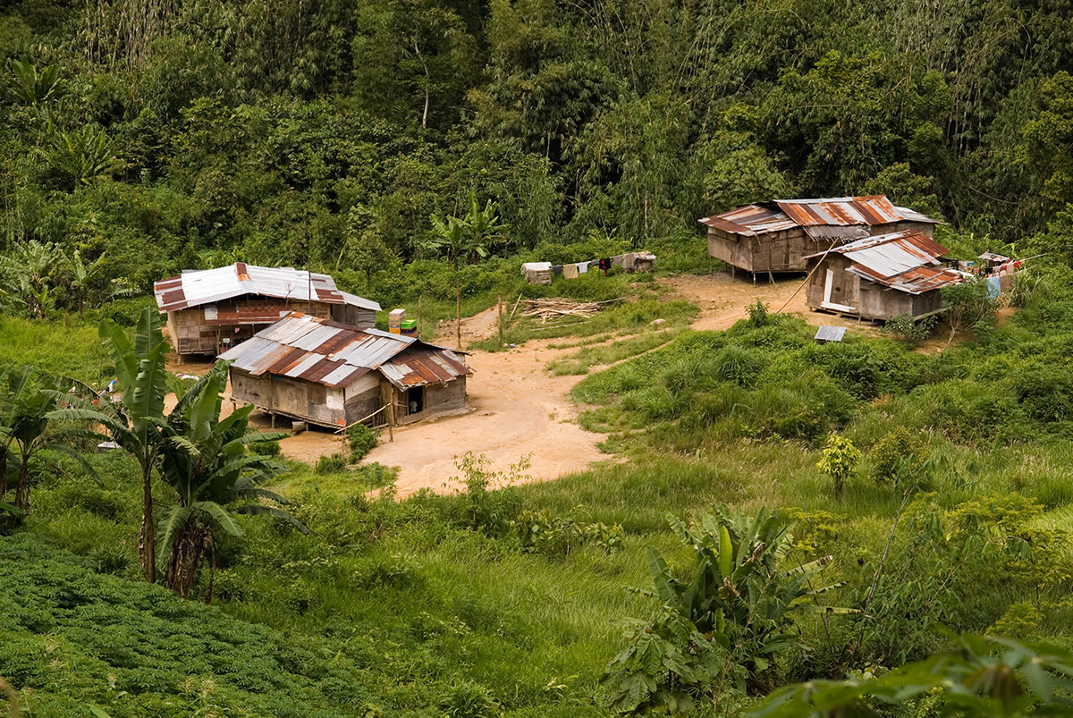 Village traditionnel Orang Asil dans les Cameron Highlands