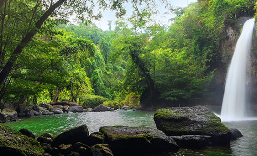 Khao Yai Itinerary | Secret Escapes & Top Fun-Filled Family Holiday Ideas