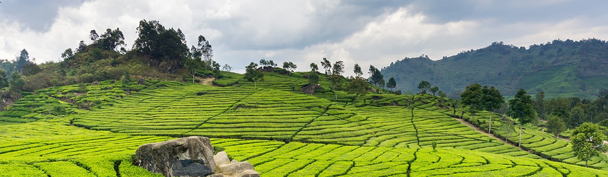 What to Do in Bandung | Romantic Outdoor Getaways & Kid-Friendly Activities background image