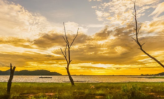 What to Do in Chonburi | 5 Ideas for Secret Getaways from Bangkok & Pattaya