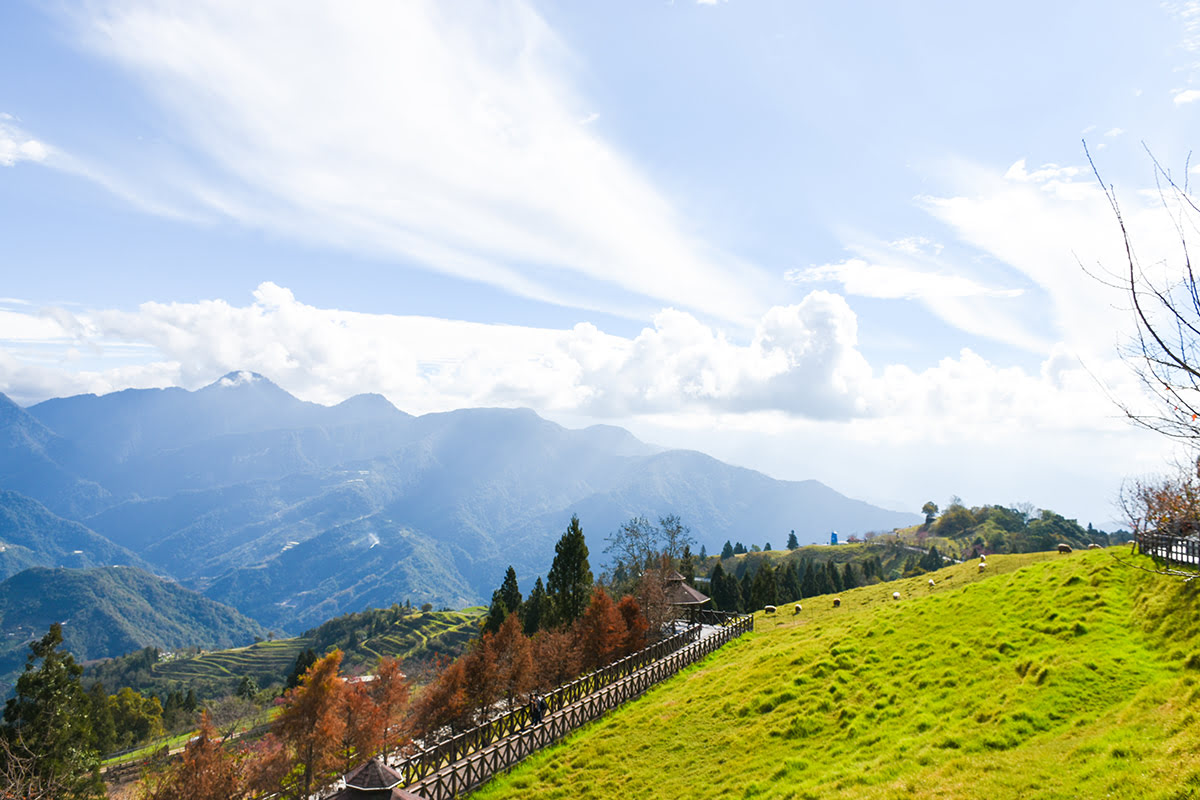 Things to do in Nantou County-attractions-activities-Qingjing Farm