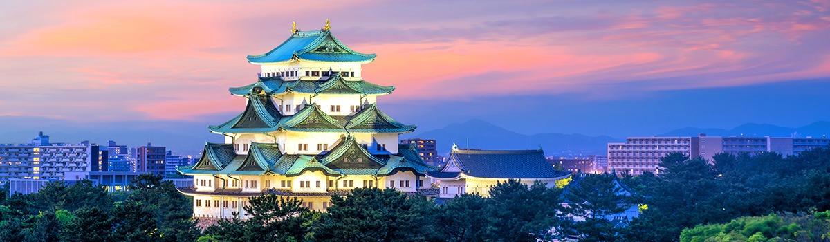 Things to Do in Nagoya | Dolphin Shows, Castles & Toyota Museum Tours background image