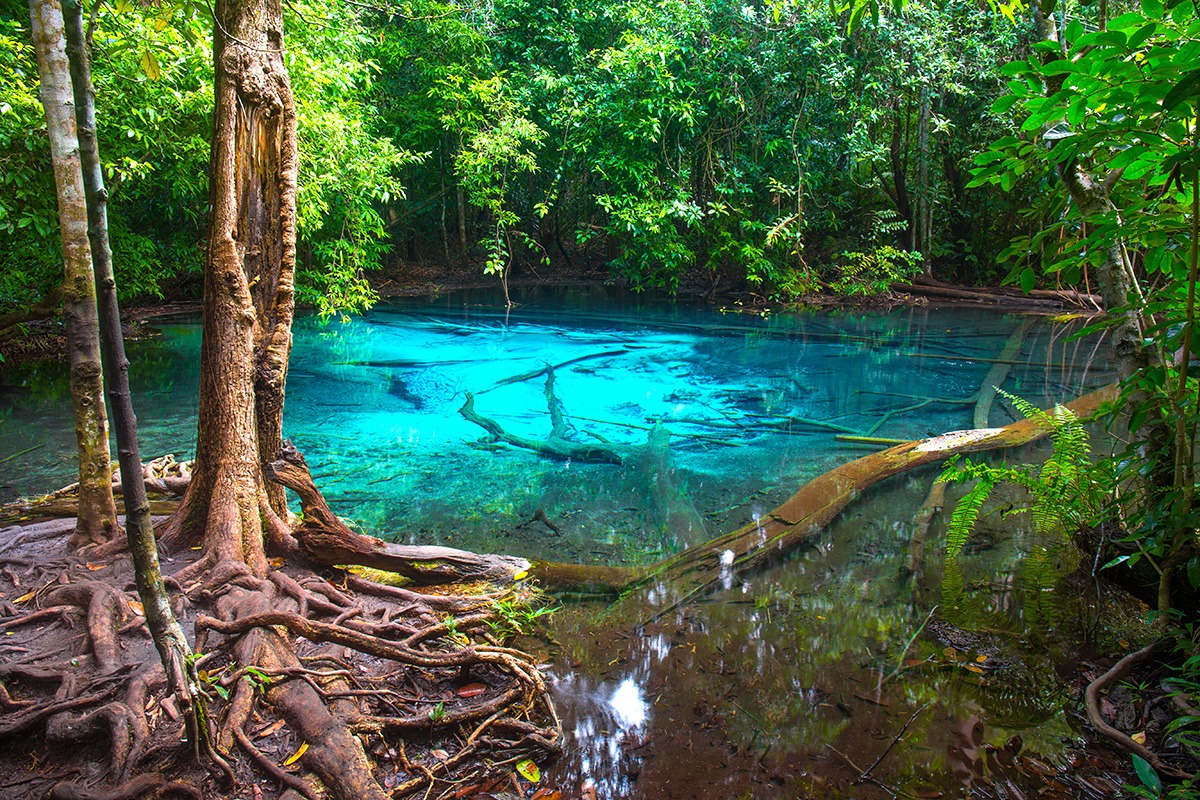 Emerald Pool (Sa Morakot), Krabi, Thailand