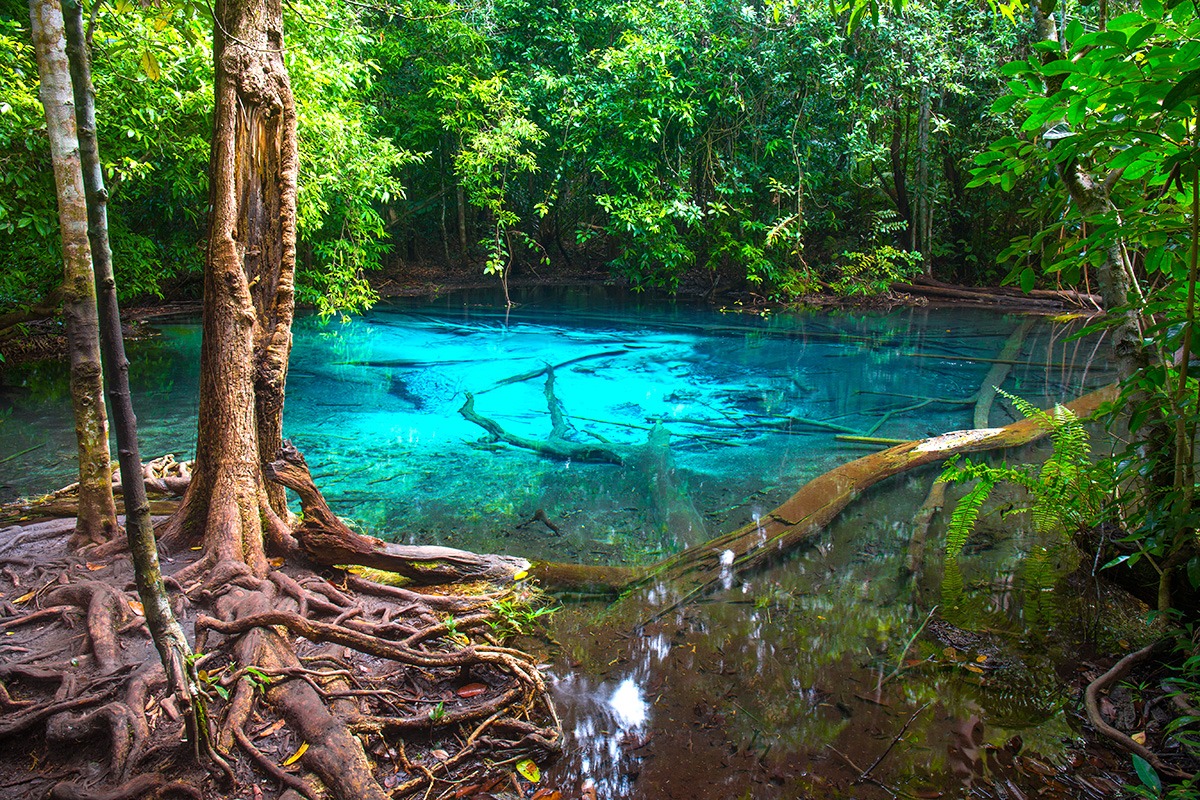 Kolam Zamrud, Krabi, Thailand