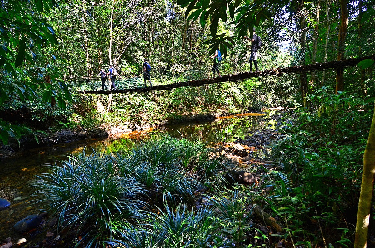 Vườn quốc gia Kubah. Kuching, Sarawak, Malaysia Vườn quốc gia Kubah. Kuching, Sarawak, Malaysia