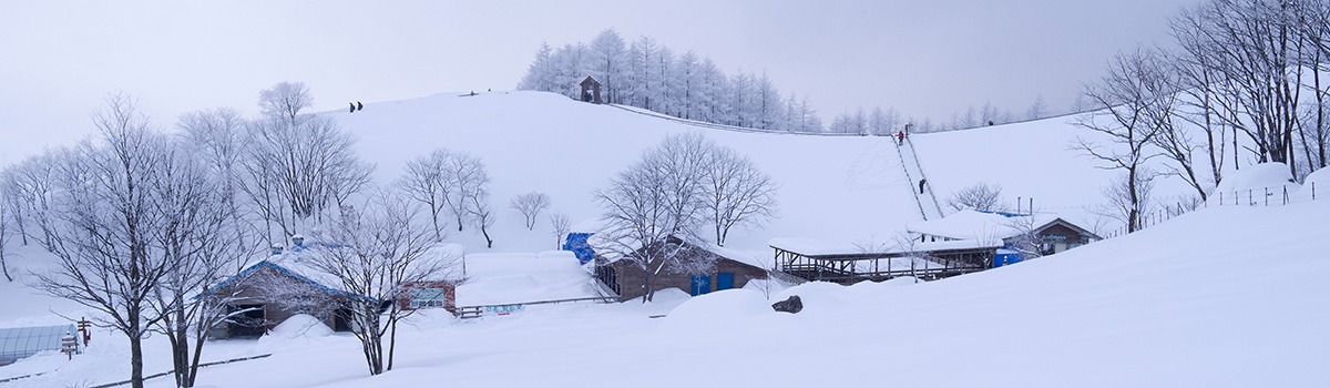 Pyeongchang-gun Attractions | Ski Resorts + Treks in Odaesan Nat&#8217;l Park