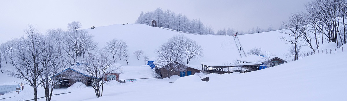 평창군의 명소 | 스키 리조트, 오대산 국립 공원 background image