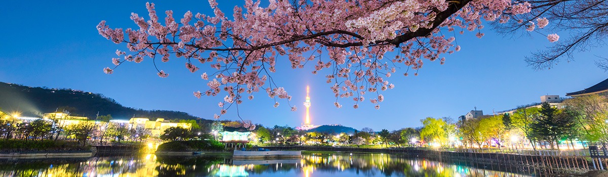 Places to Visit in Daegu | Top Parks, Museums & Traditional Markets