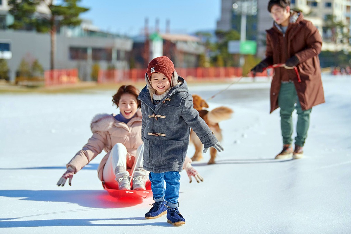 Taman Salju Phoenix, Pyeongchang-gun