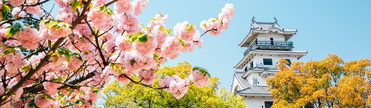 3-Day Ehime Itinerary | Top Activities for Adventurous Weekend Getaways background image