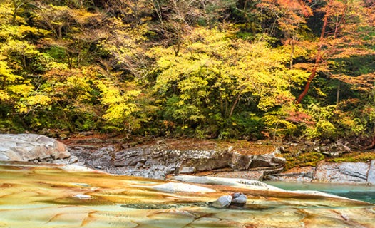 Ehime Parks | 8 Pristine Green Spaces with Wildlife & Outdoor Recreation