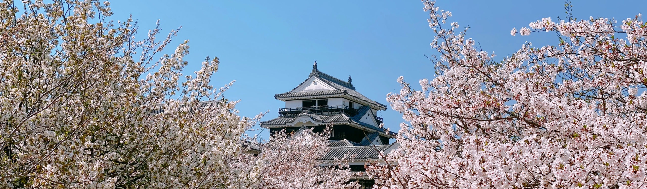 爱媛县旅游 |  热门活动、景点以及最佳观光季