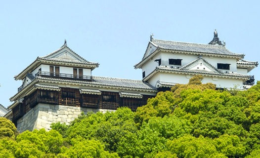 Matsuyama Castle | Ride a Cable Car to Tour this Top Landmark in Ehime