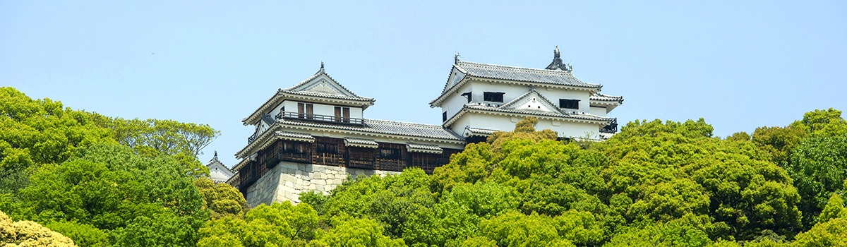 Matsuyama Castle | Ride a Cable Car to Tour this Top Landmark in Ehime