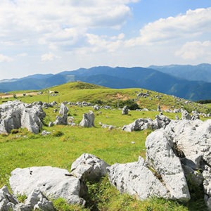 爱媛县, 日本
