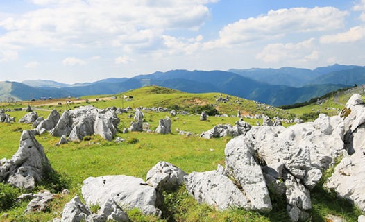 Day Trips from Matsuyama | 8 Can't-Miss Destinations in Ehime Prefecture