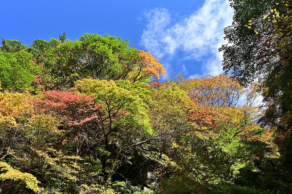 Mount Ishizuchi-activities-hiking-best time to visit-Ropeway