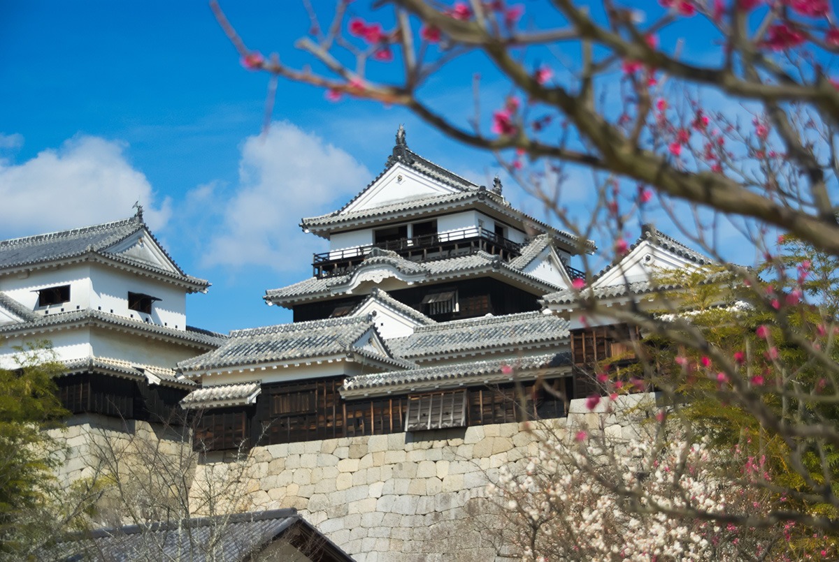 Day trips from Matsuyama-Ehime-travel-Matsuyama Castle