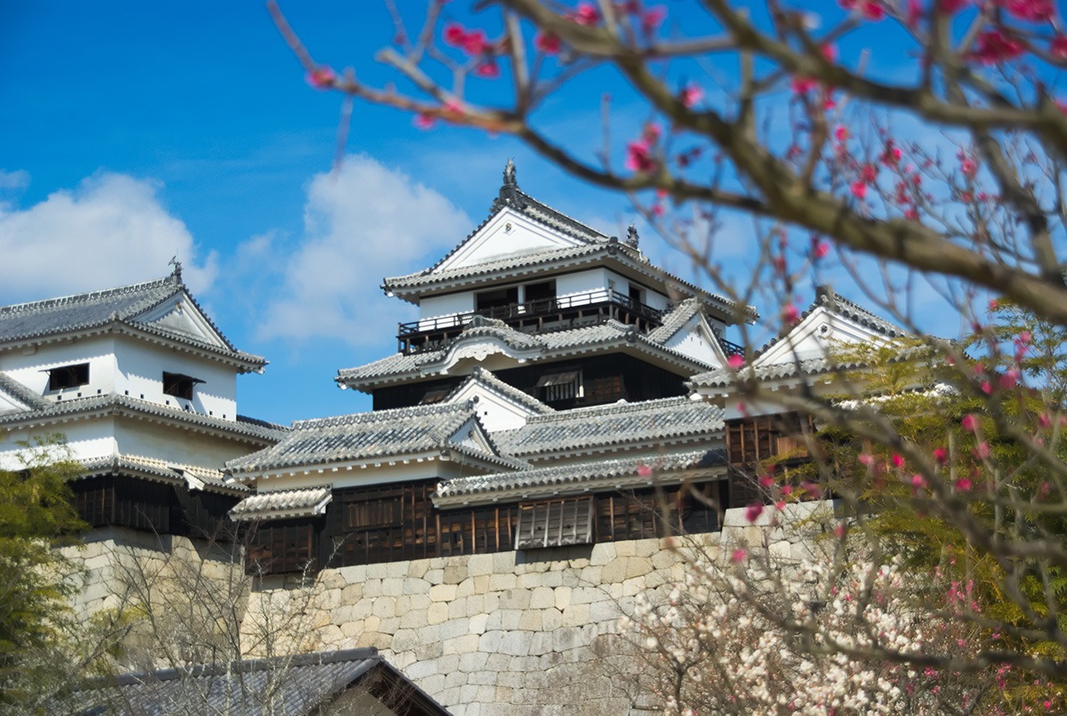 松山城 松山城