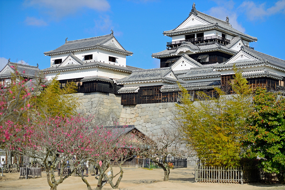 Matsuyama attractions-activities-things to do-Matsuyama Castle