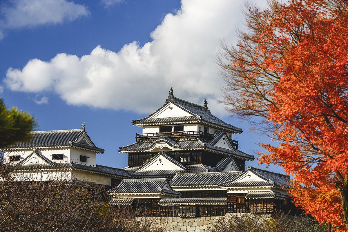 Things to do in Ehime-attractions-activities-Matsuyama Castle