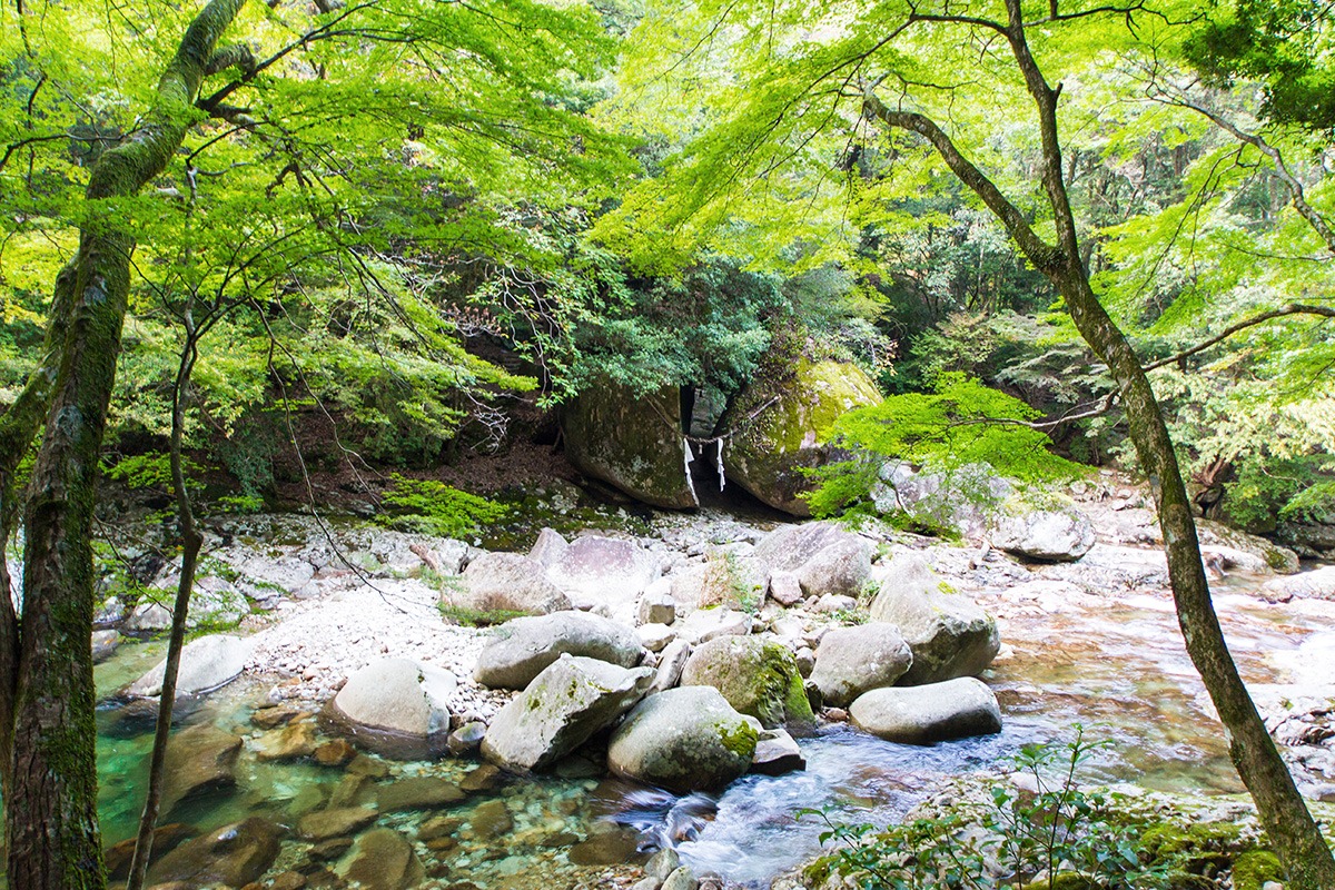 Ehime parks-outdoor activities-kid-friendly attractions-Nametoko Gorge