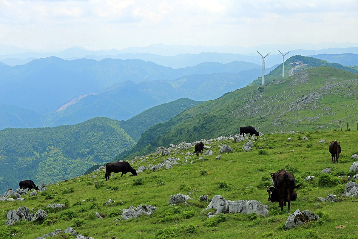 Ehime parks-outdoor activities-kid-friendly attractions-Shikoku Karst