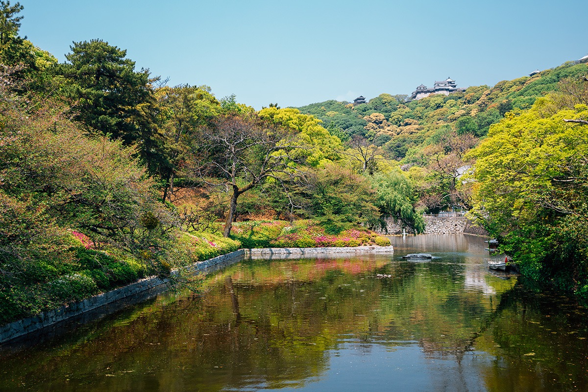 松山城-観光スポット-史跡-城山公園